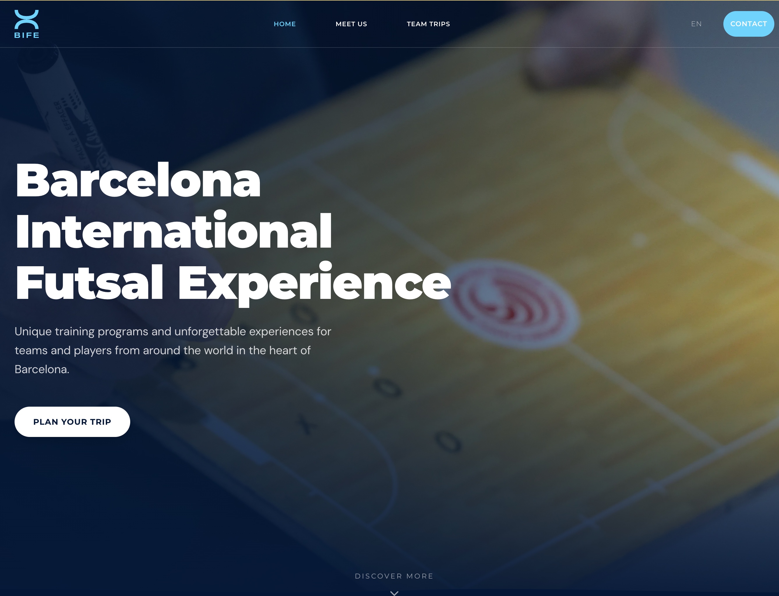 Little Steps TDH website preview